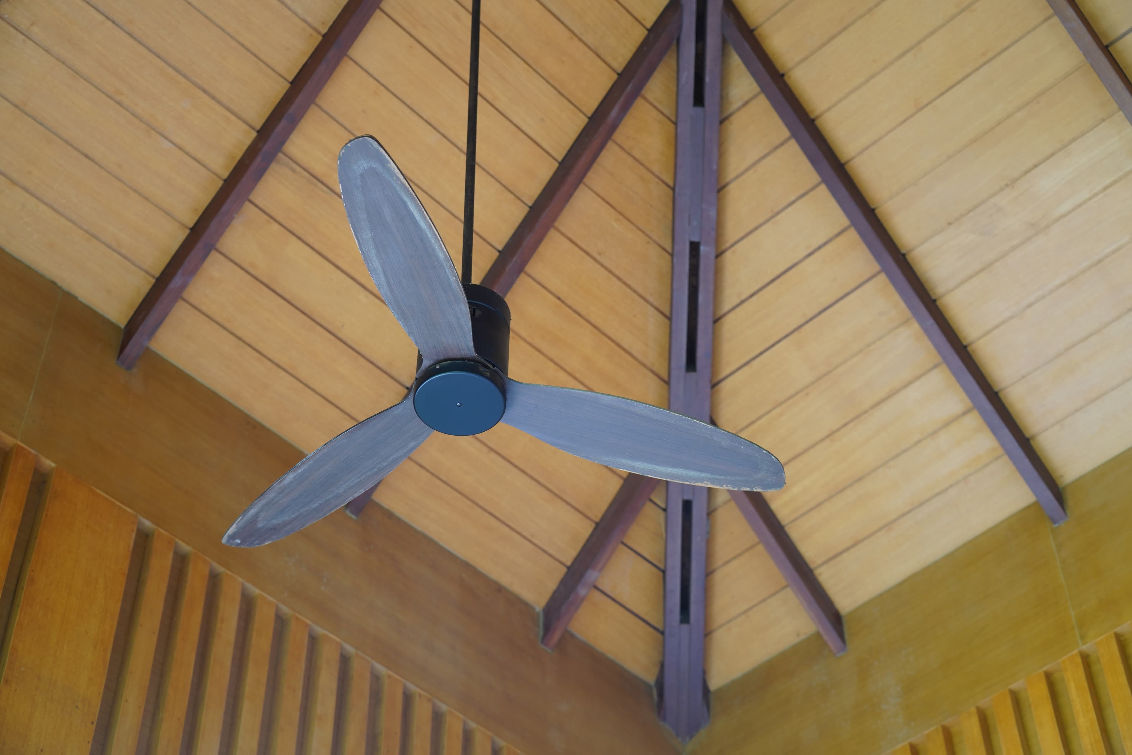 Ceiling Fan Installation